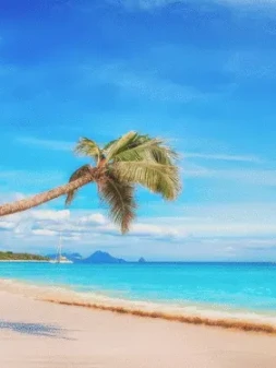 Winter Sun Sailing Holidays: A Guide to Escape Cold Winter Days